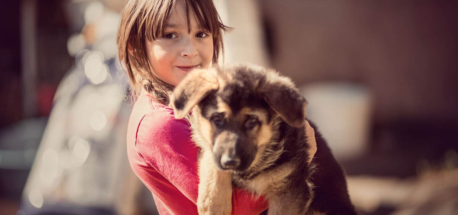 CHOOSING THE BEST FOOD FOR YOUR PUPPY Acana Pet Foods