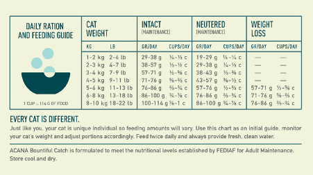 Feeding Guide displayed as a table for feeding cats of various sizes and ages