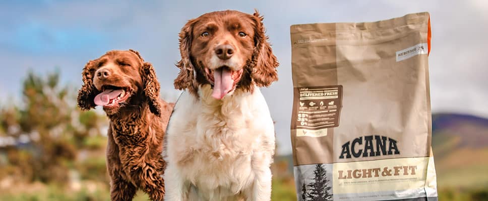 happy-active-dogs-with-acana-light-fit