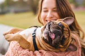 happy French Bulldog and it's owner 