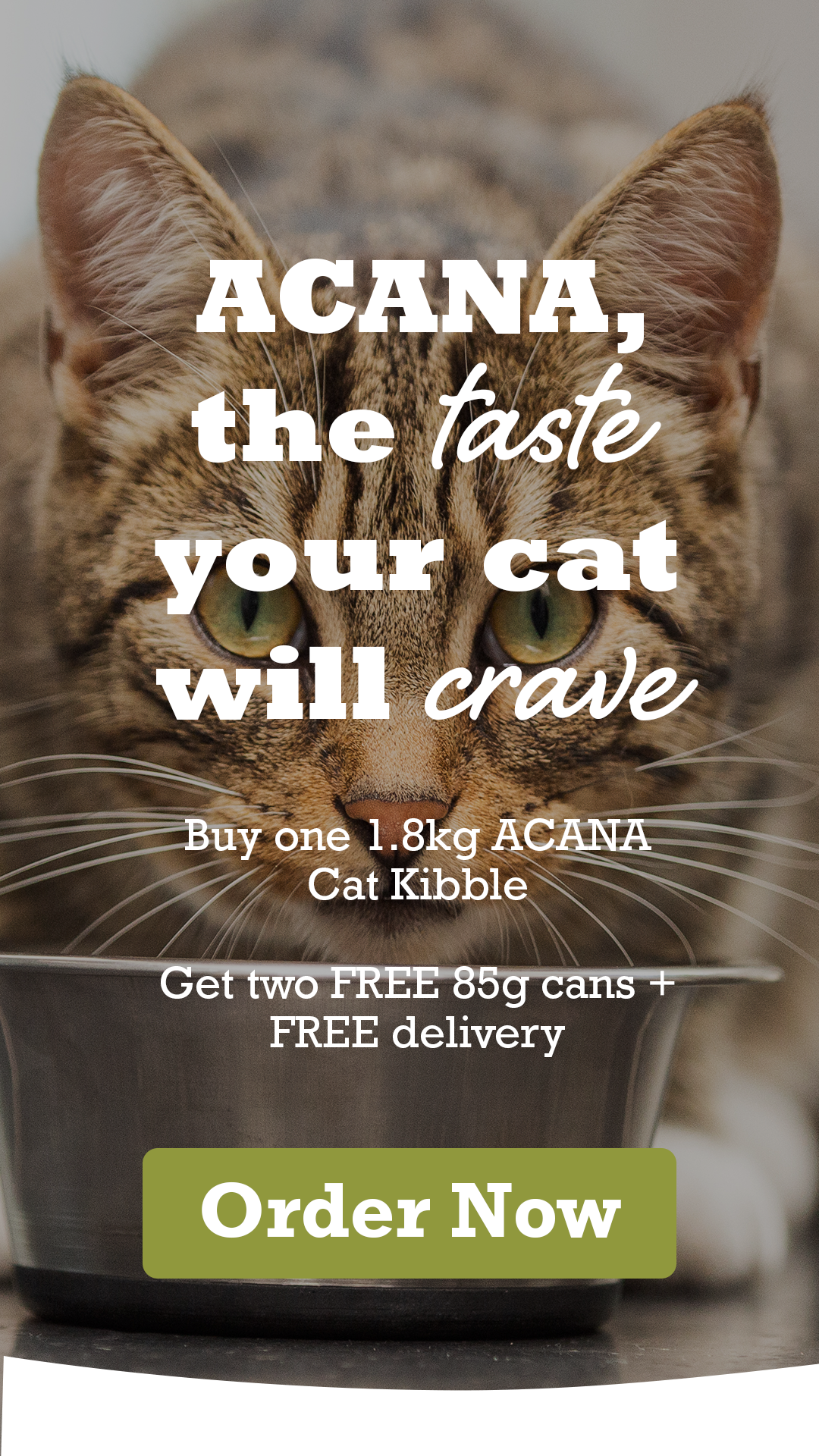 ACANA: The Taste Your Cat Will Crave