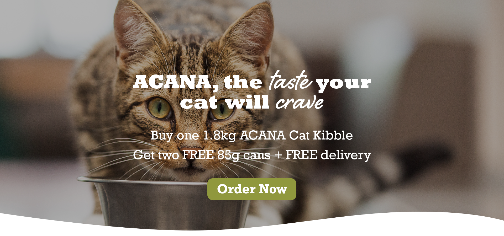 ACANA: The Taste Your Cat Will Crave