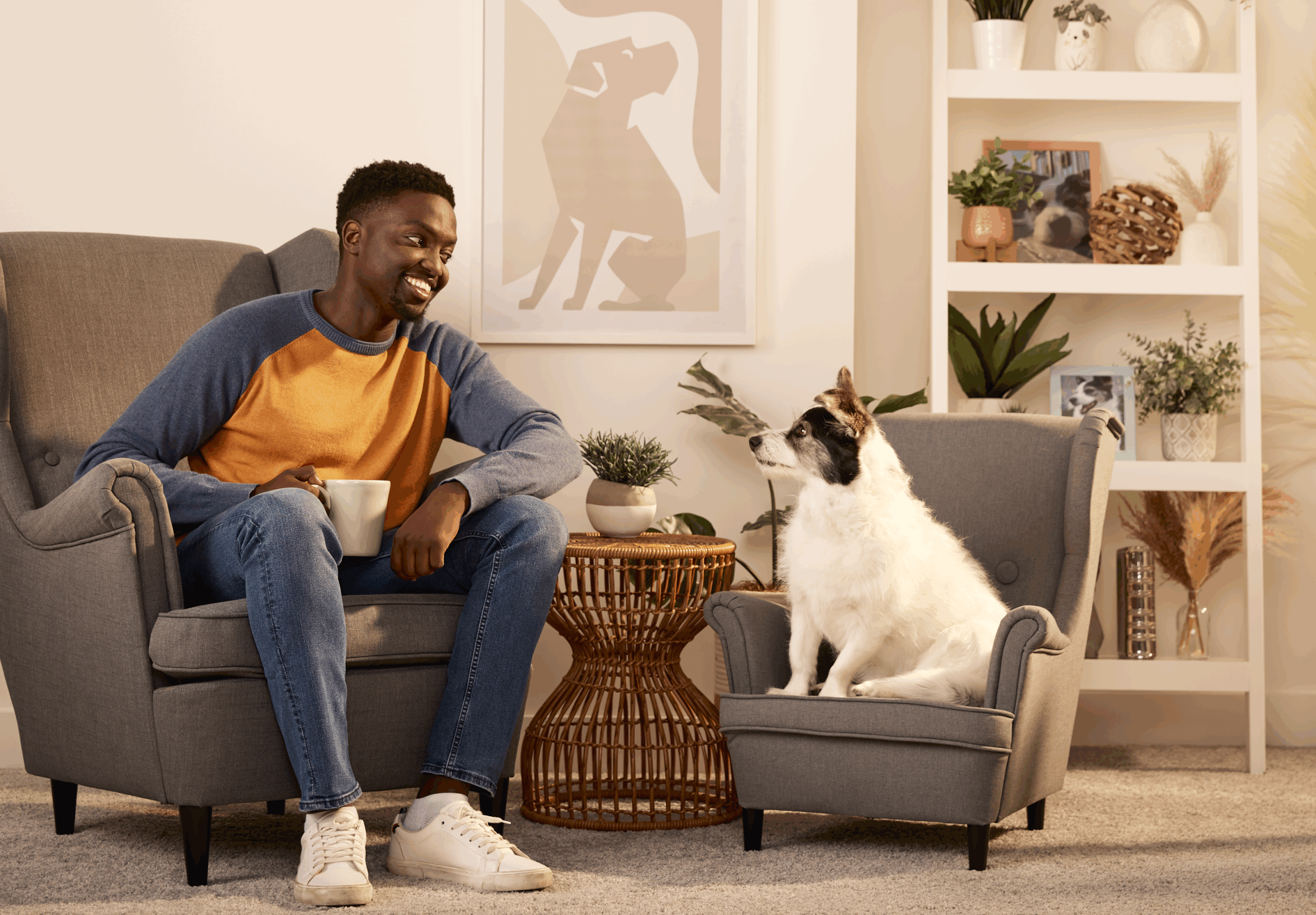 How to create a pet friendly home